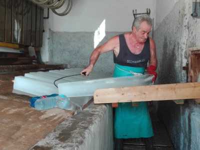 ...e poi conservati nella cella frigorifera